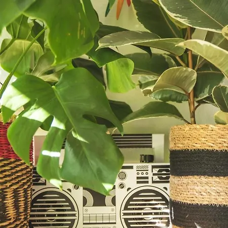 דירה La Kanopee - Les Loges Normandes שרבורג