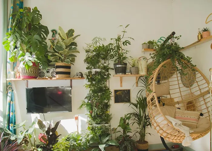 La Kanopée - Les Loges Normandes