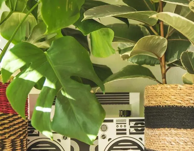 Lejlighed La Kanopee - Les Loges Normandes Cherbourg-en-Cotentin